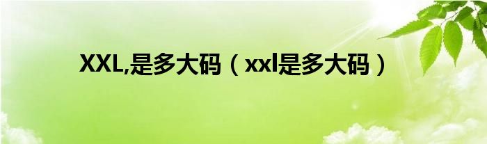 XXL,是多大码（xxl是多大码）