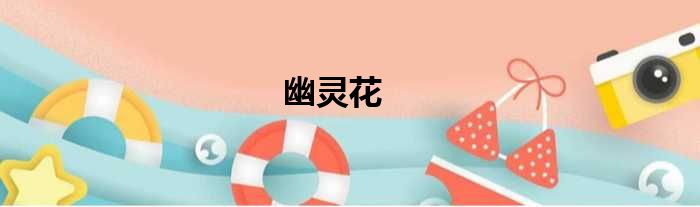 幽灵花