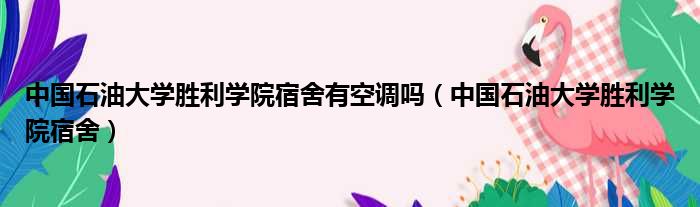 中国石油大学胜利学院宿舍有空调吗（中国石油大学胜利学院宿舍）