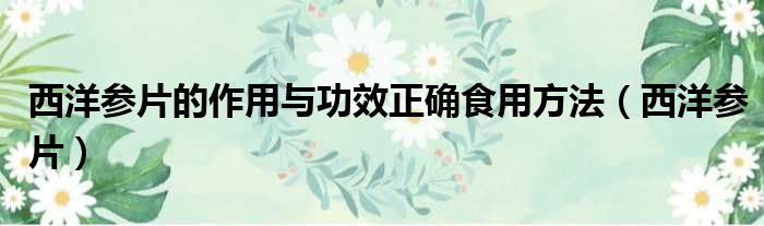 西洋参片的作用与功效正确食用方法（西洋参片）