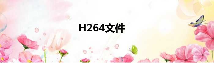 H264文件