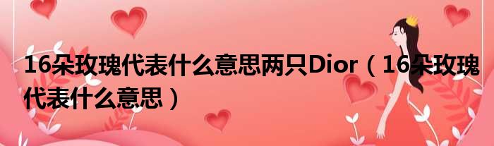 16朵玫瑰代表什么意思两只Dior（16朵玫瑰代表什么意思）