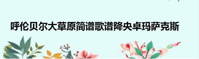 呼伦贝尔大草原简谱歌谱降央卓玛萨克斯