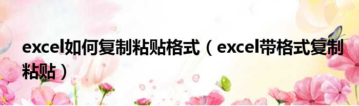excel如何复制粘贴格式（excel带格式复制粘贴）