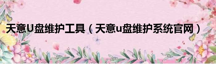 天意U盘维护工具（天意u盘维护系统官网）