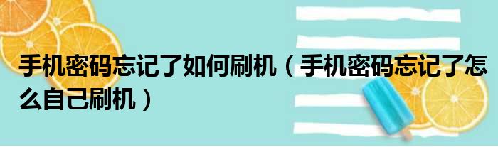 手机密码忘记了如何刷机（手机密码忘记了怎么自己刷机）