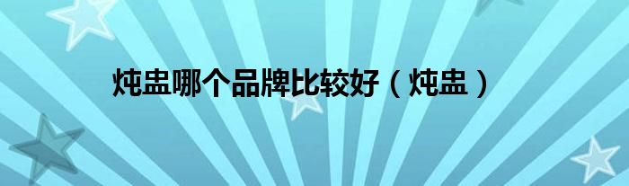 炖盅哪个品牌比较好（炖盅）