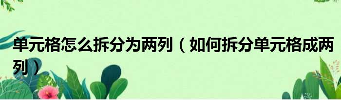 单元格怎么拆分为两列（如何拆分单元格成两列）
