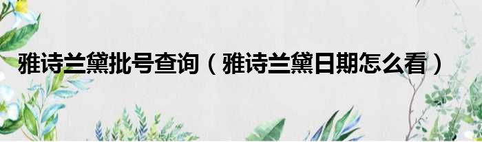雅诗兰黛批号查询（雅诗兰黛日期怎么看）