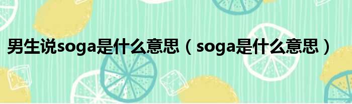男生说soga是什么意思（soga是什么意思）