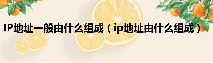 IP地址一般由什么组成（ip地址由什么组成）