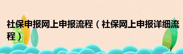 社保申报网上申报流程（社保网上申报详细流程）