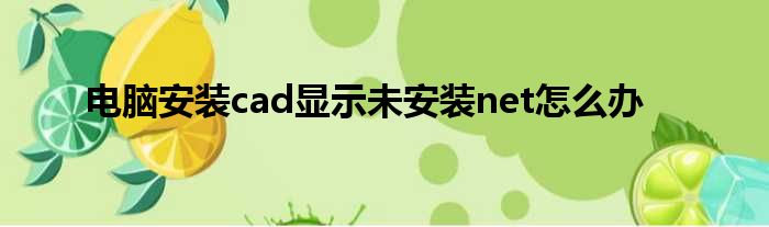 电脑安装cad显示未安装net怎么办