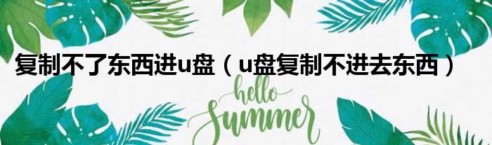 复制不了东西进u盘（u盘复制不进去东西）