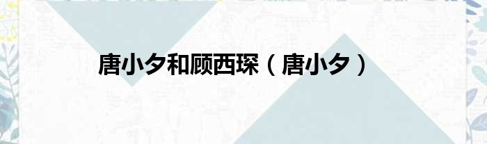 唐小夕和顾西琛（唐小夕）