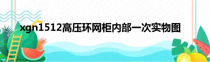 xgn1512高压环网柜内部一次实物图
