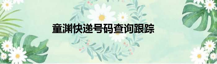 童渊快递号码查询跟踪