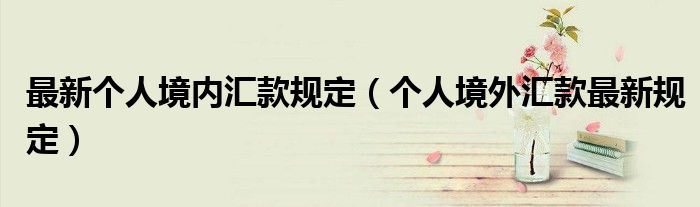 最新个人境内汇款规定（个人境外汇款最新规定）