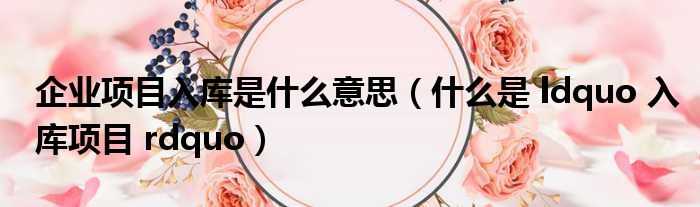 企业项目入库是什么意思（什么是 ldquo 入库项目 rdquo）