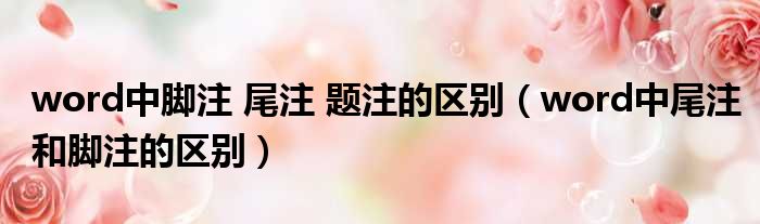word中脚注 尾注 题注的区别（word中尾注和脚注的区别）