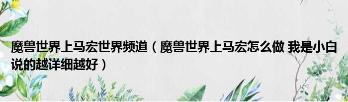 魔兽世界上马宏世界频道（魔兽世界上马宏怎么做 我是小白说的越详细越好）
