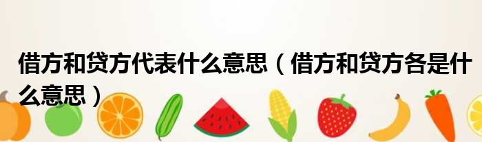借方和贷方代表什么意思（借方和贷方各是什么意思）
