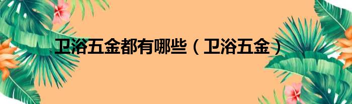 卫浴五金都有哪些（卫浴五金）