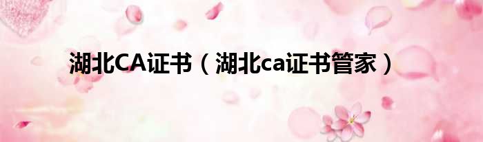 湖北CA证书（湖北ca证书管家）