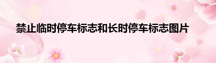 禁止临时停车标志和长时停车标志图片