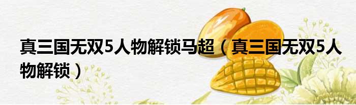 真三国无双5人物解锁马超（真三国无双5人物解锁）