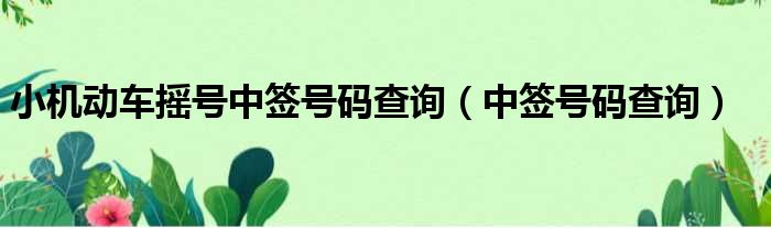 小机动车摇号中签号码查询（中签号码查询）