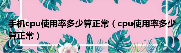 手机cpu使用率多少算正常（cpu使用率多少算正常）
