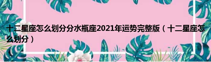 十二星座怎么划分分水瓶座2021年运势完整版（十二星座怎么划分）