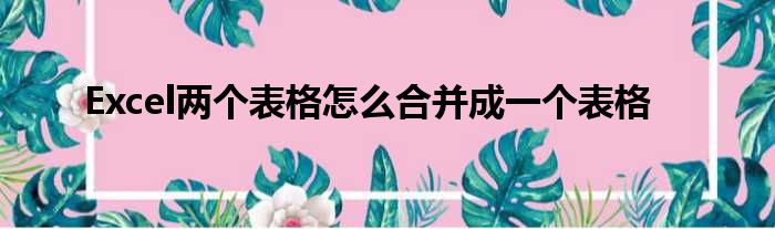 Excel两个表格怎么合并成一个表格