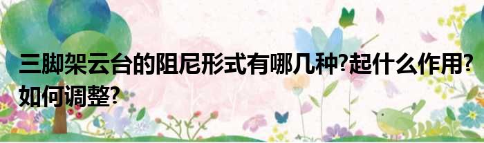 三脚架云台的阻尼形式有哪几种?起什么作用?如何调整?