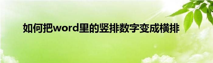如何把word里的竖排数字变成横排