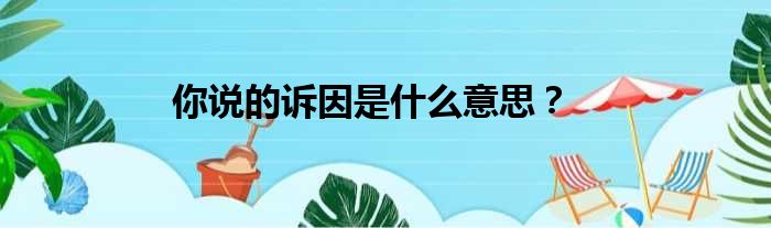 你说的诉因是什么意思？
