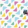 侯鸟简谱（候鸟简谱）