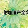 附加遗产全文简介（附加遗产大概讲什么）