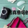 言真意切的好报告（言真的个人资料）