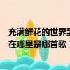 充满鲜花的世界到底在哪里叫什么歌（充满鲜花的世界到底在哪里是哪首歌）