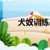 犬奴训练小说阅读（犬奴训练小说）