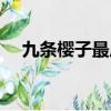 九条樱子最后跟谁在一起了（九条樱子）