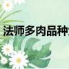 法师多肉品种大全图解（法师多肉品种大全）