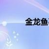 金龙鱼事件影响（金龙鱼事件）