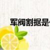 军阀割据是什么意思（军阀是什么意思）