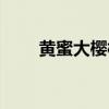 黄蜜大樱桃特点（红灯大樱桃特点）