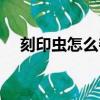 刻印虫怎么夺走樱的第一次的（刻印虫）
