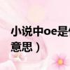 小说中oe是什么意思啊（在小说中OE是什么意思）