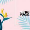 成型和成形的区别（成型）